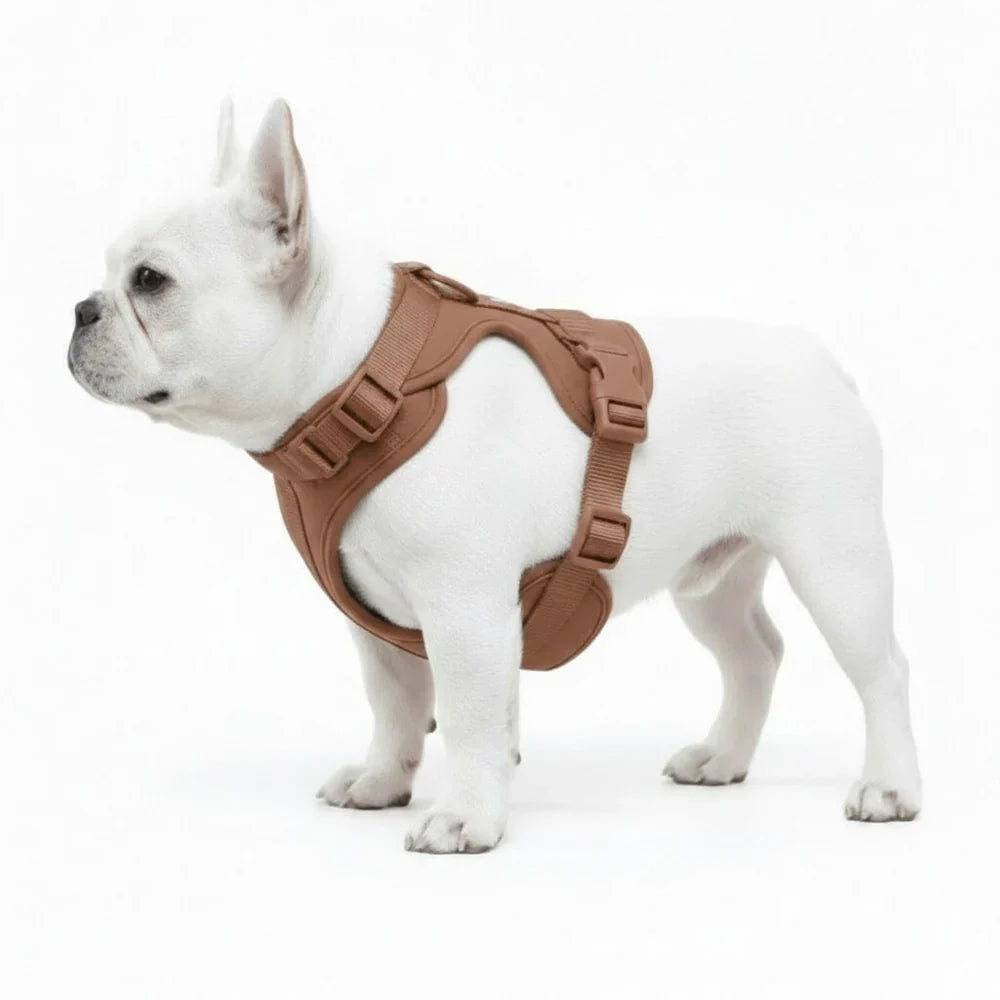 Lightweight Nylon Dog Harness with Mesh Padding and Adjustable Straps