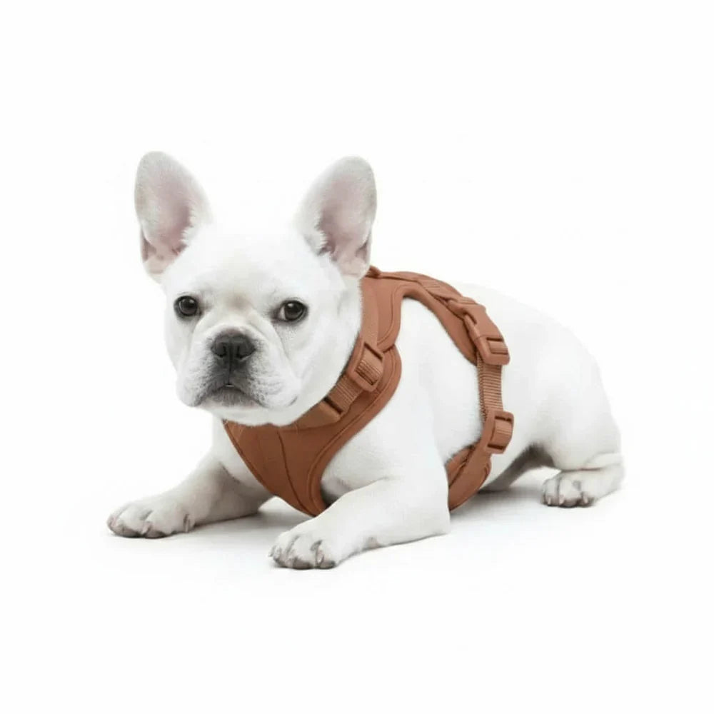 Lightweight Nylon Dog Harness with Mesh Padding and Adjustable Straps