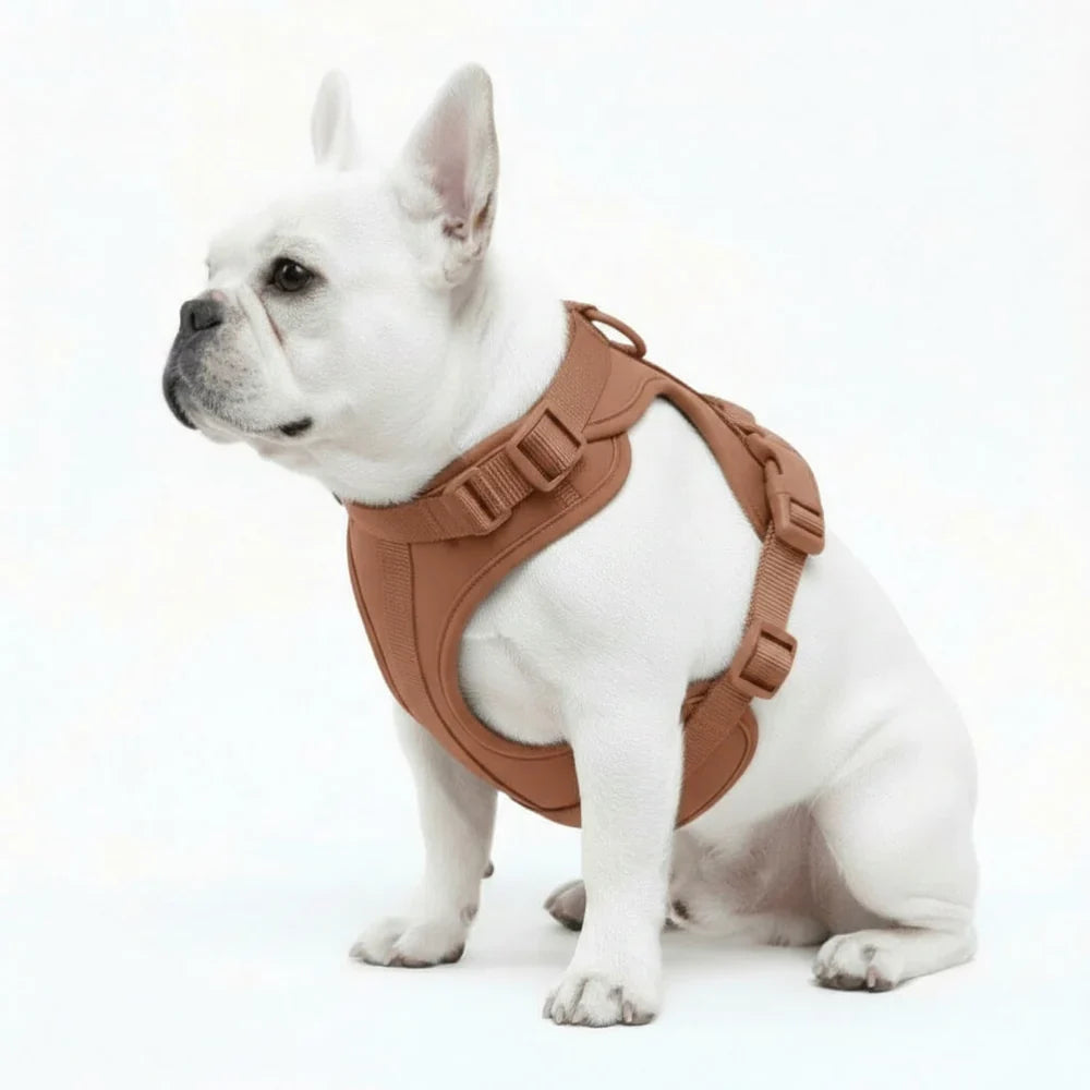 Lightweight Nylon Dog Harness with Mesh Padding and Adjustable Straps