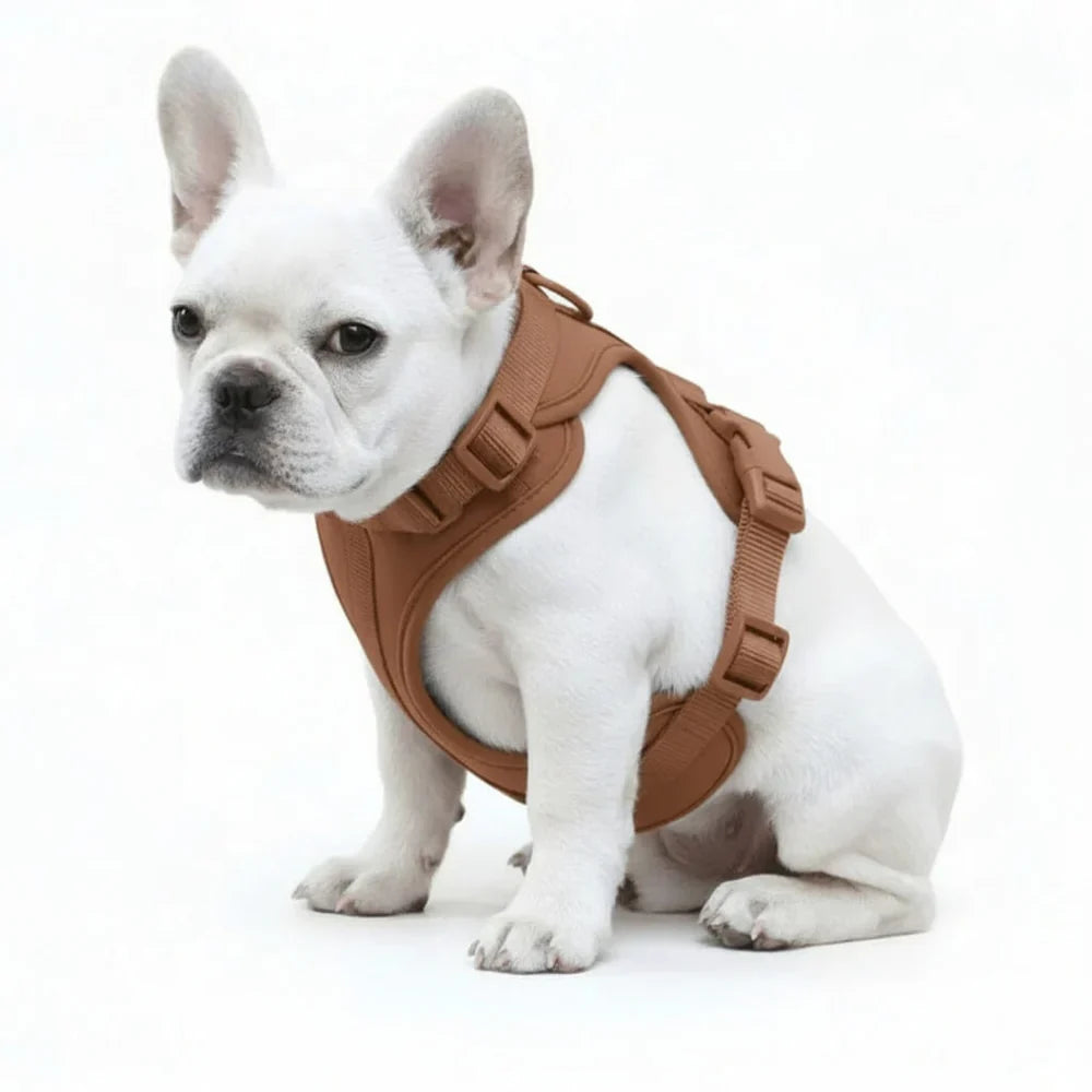 Lightweight Nylon Dog Harness with Mesh Padding and Adjustable Straps