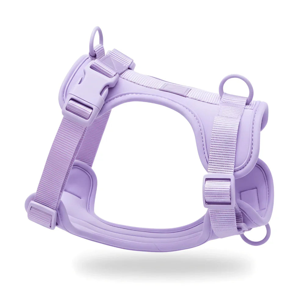 Lightweight Nylon Dog Harness with Mesh Padding and Adjustable Straps