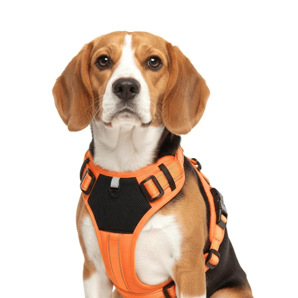 Nylon Dog Harness with Reflective Strips and Adjustable Fit