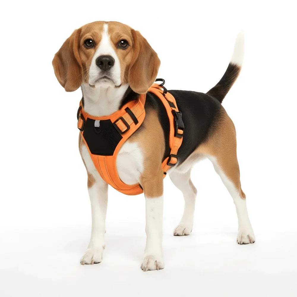 Nylon Dog Harness with Reflective Strips and Adjustable Fit