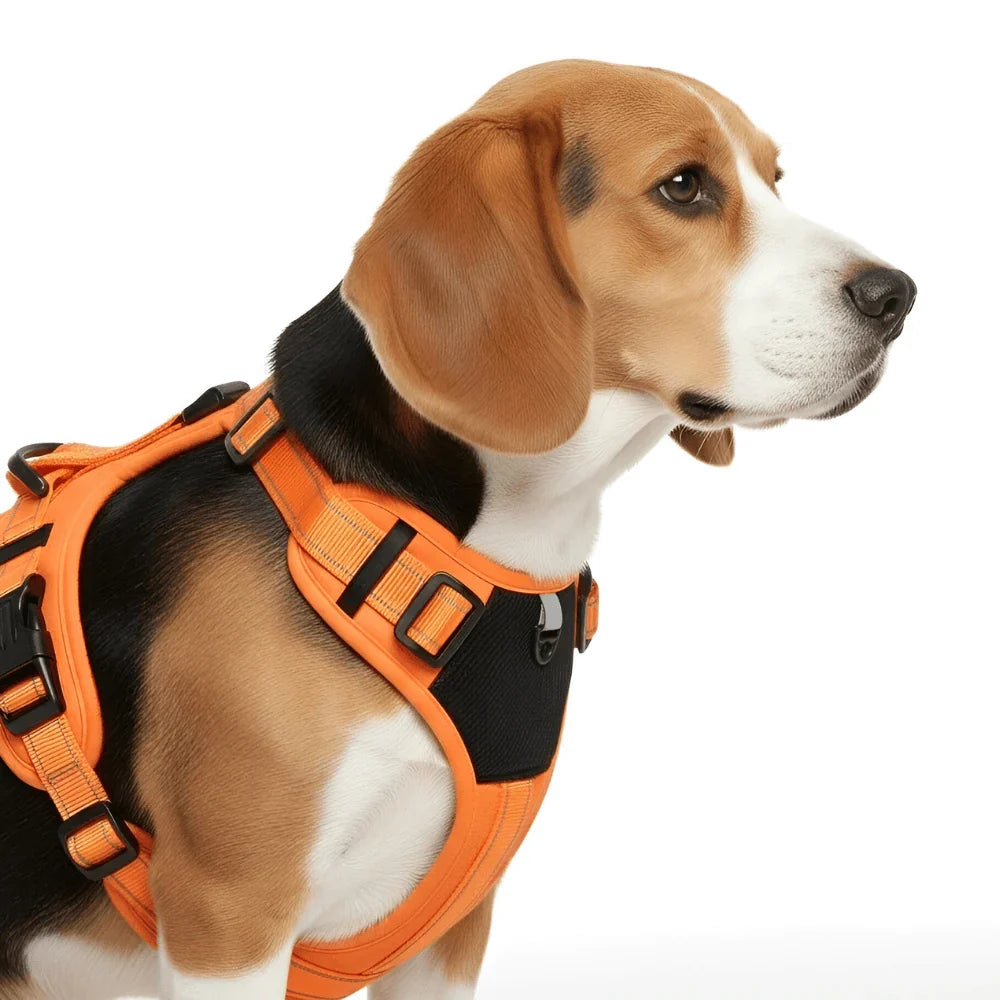Nylon Dog Harness with Reflective Strips and Adjustable Fit