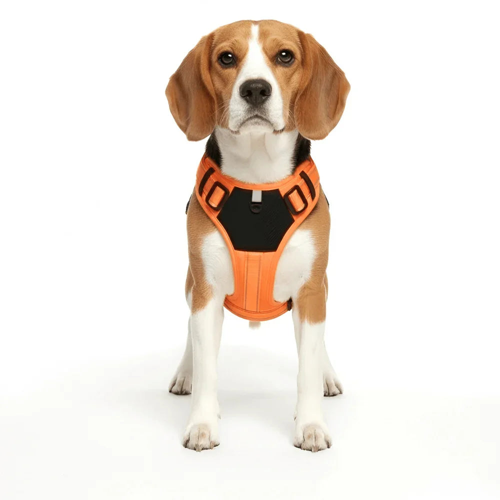 Nylon Dog Harness with Reflective Strips and Adjustable Fit