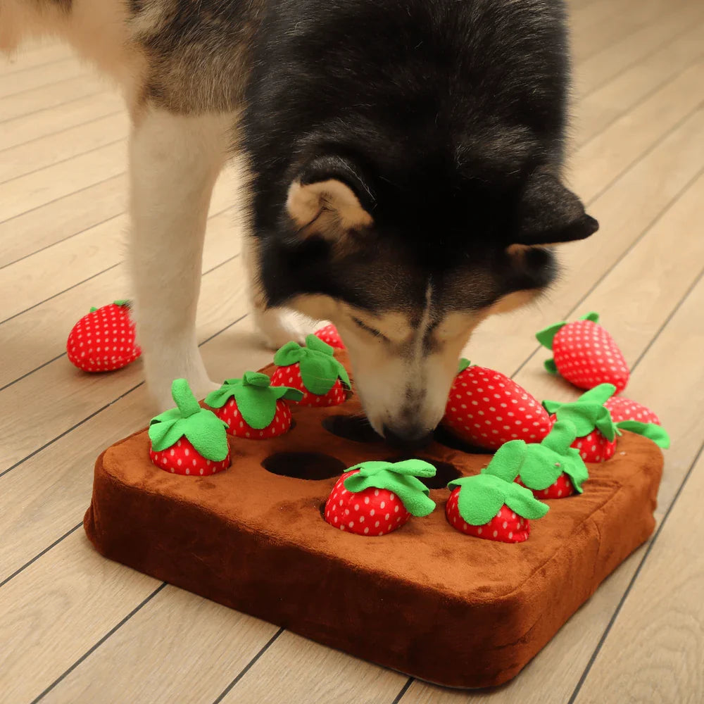 Interactive Dog Treat Mat - Plush Hide and Seek Puzzle Toy