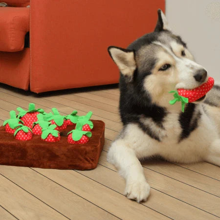 Interactive Dog Treat Mat - Plush Hide and Seek Puzzle Toy
