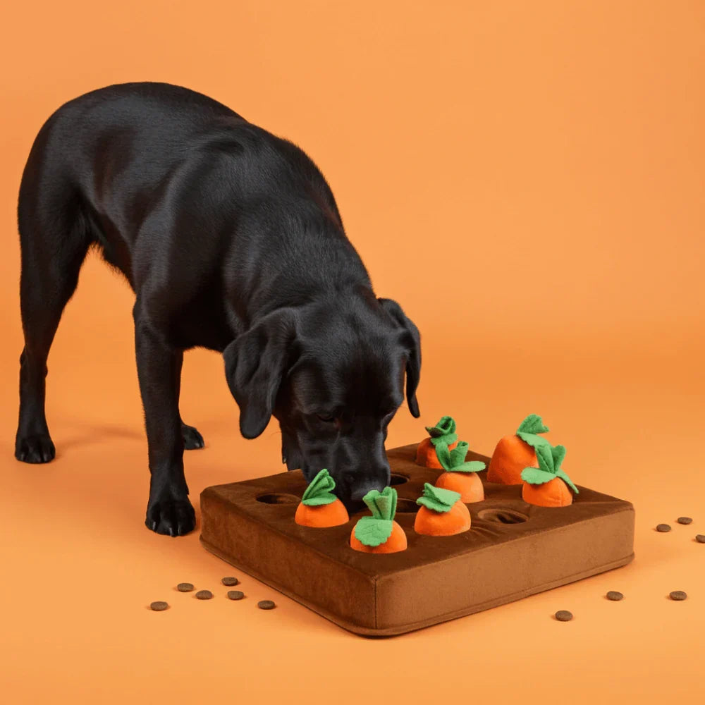 Washable Dog Puzzle Mat with Non-Slip Base for Treats
