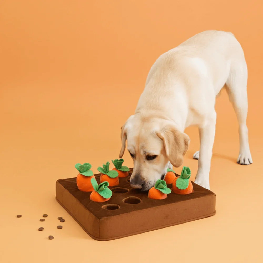 Washable Dog Puzzle Mat with Non-Slip Base for Treats