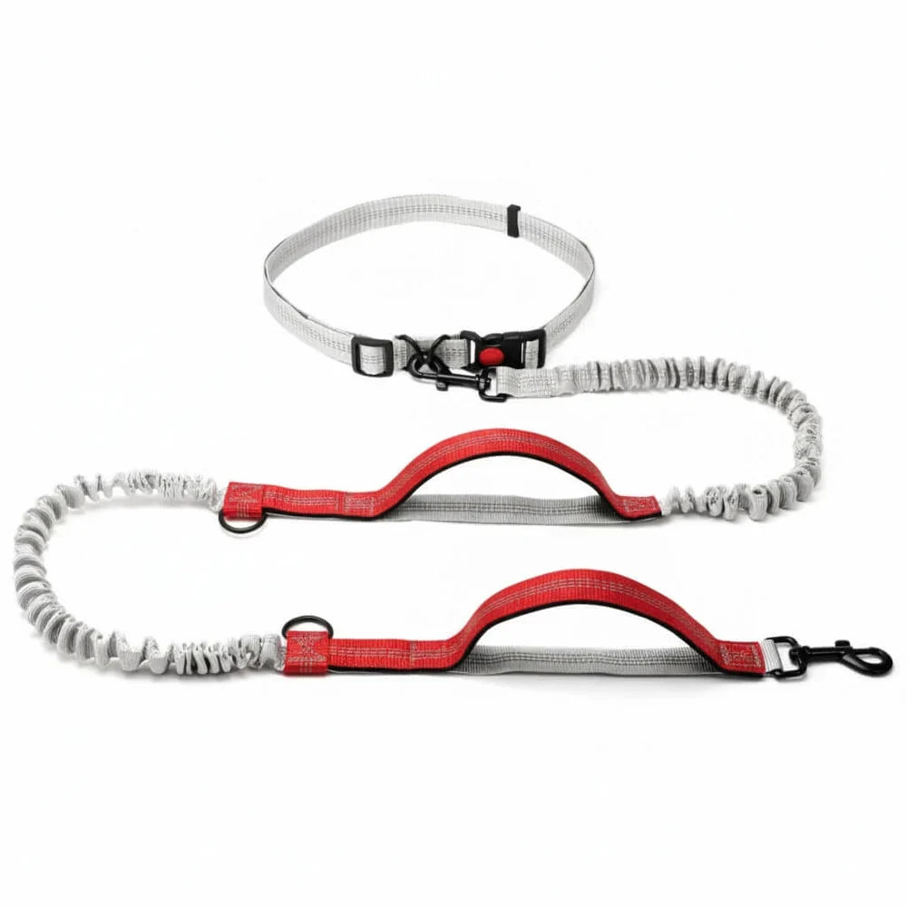 Adjustable Reflective Dog Walking Leash with Waist Strap