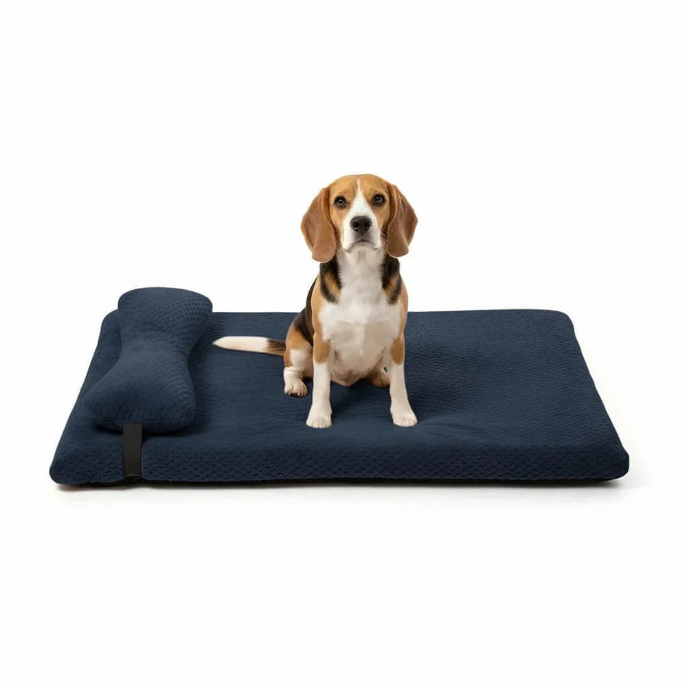 Washable Fleece Dog Bed with Pillow and Supportive Design