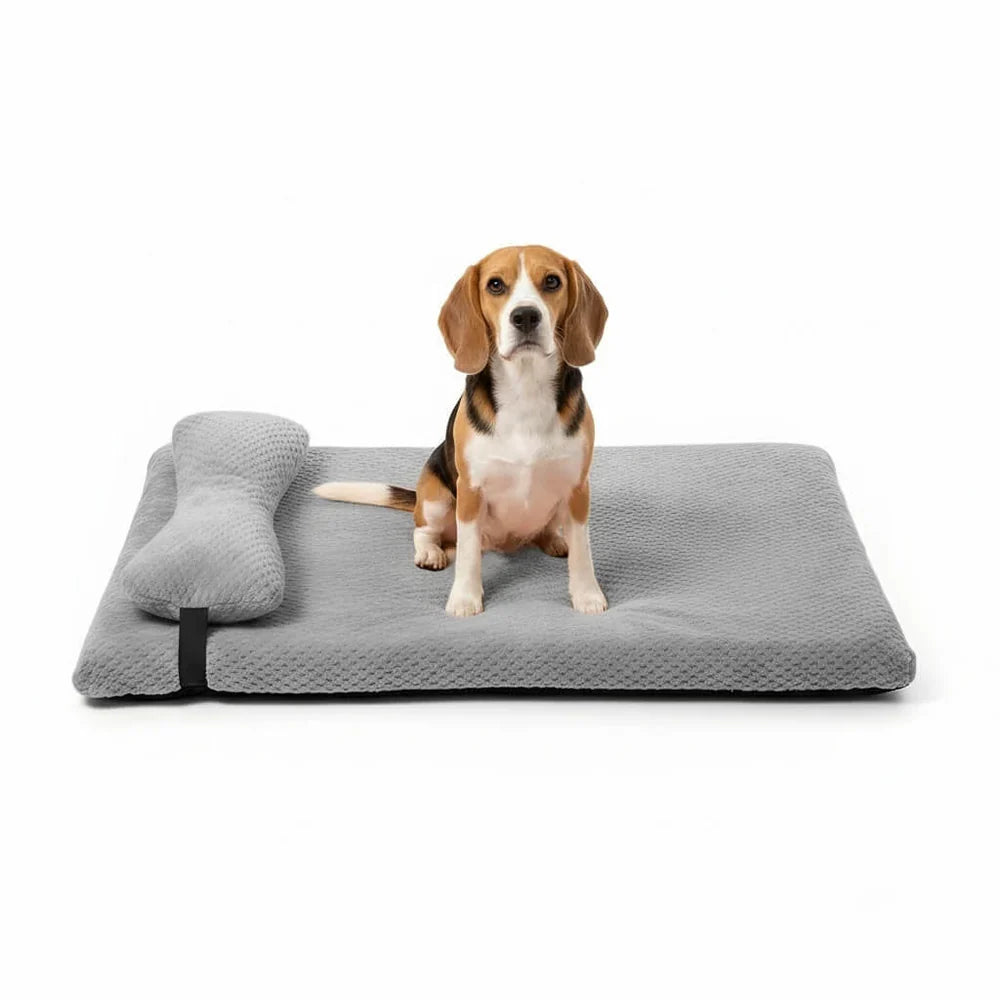 Washable Fleece Dog Bed with Pillow and Supportive Design