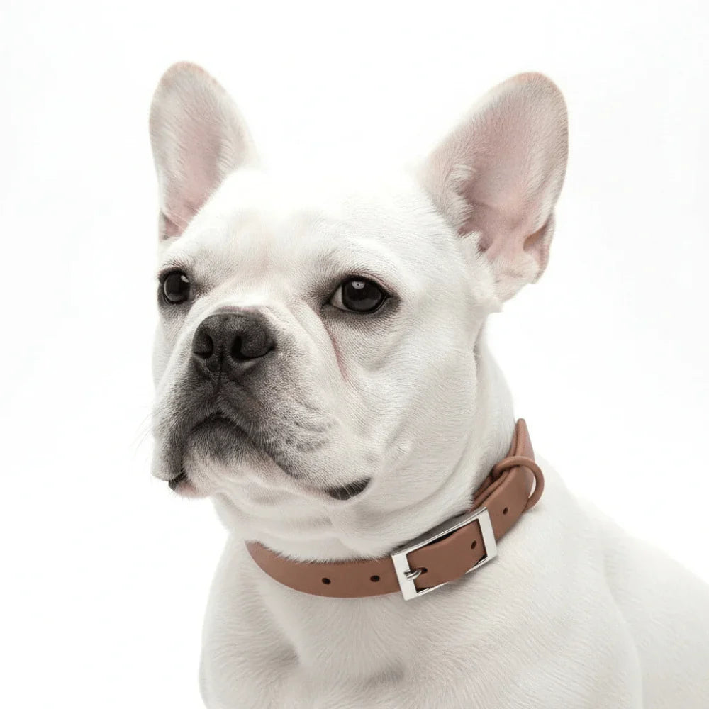 Dog Collar with Adjustable Fit, PVC Coating and Polyester Strap