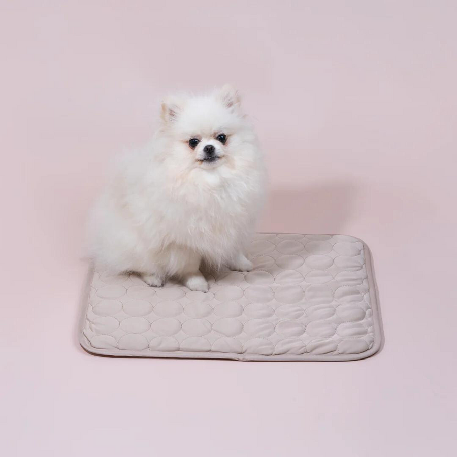 Cooling Pet Mat Made of Breathable Ice Silk, Washable Design