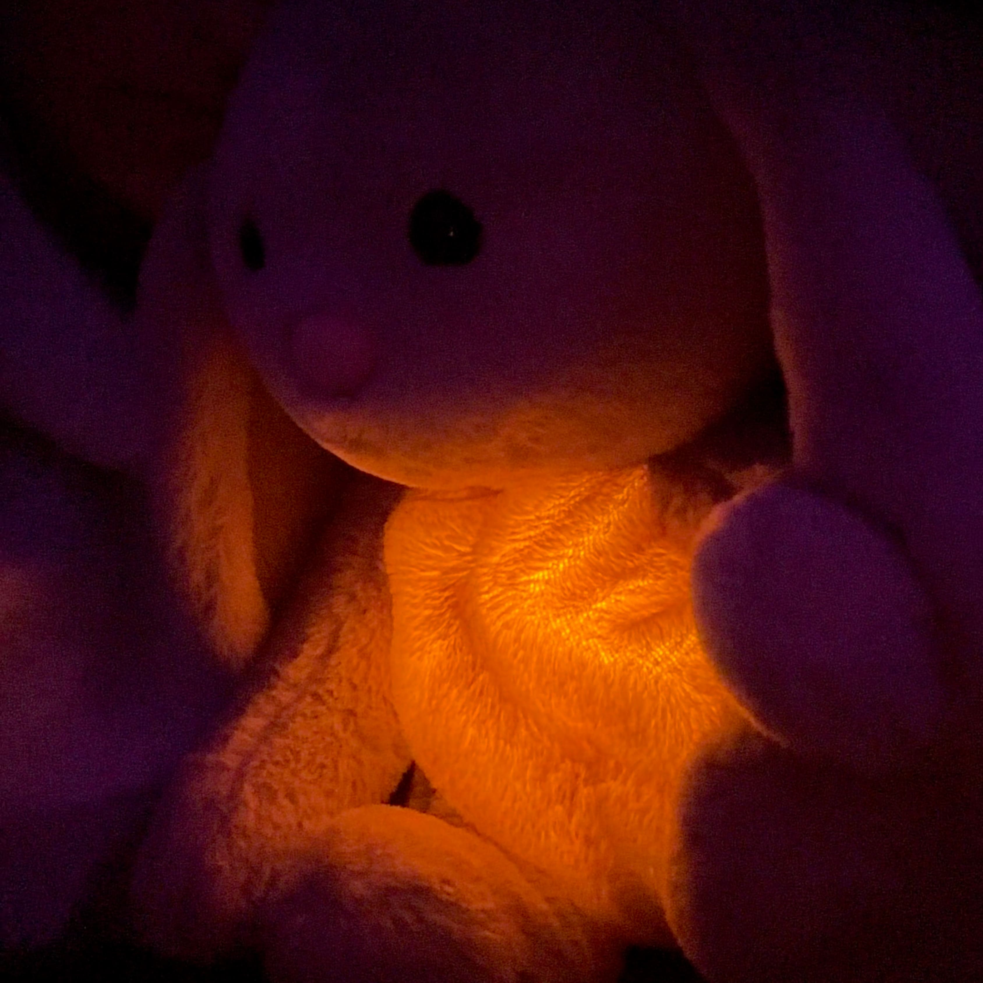 Stuffed Animal | Gentle Breathing Motion for Calm | Washable with Removable Module