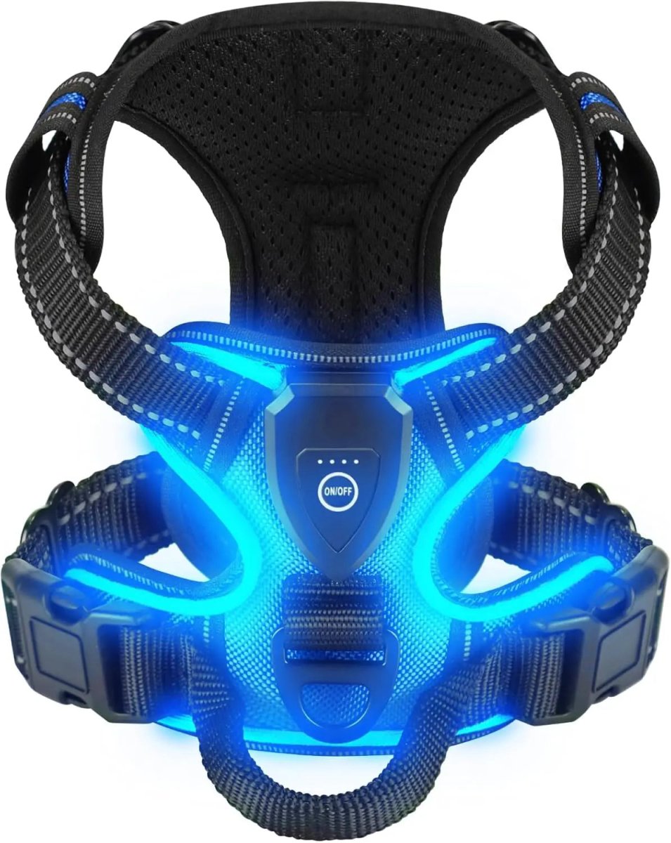 Adjustable No-Pull LED Dog Harness | Durable Oxford Fabric