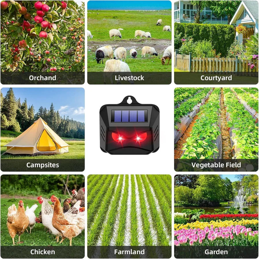 Animal Repellent Solar Powered Ultrasonic & Flashing LED Two-Pack