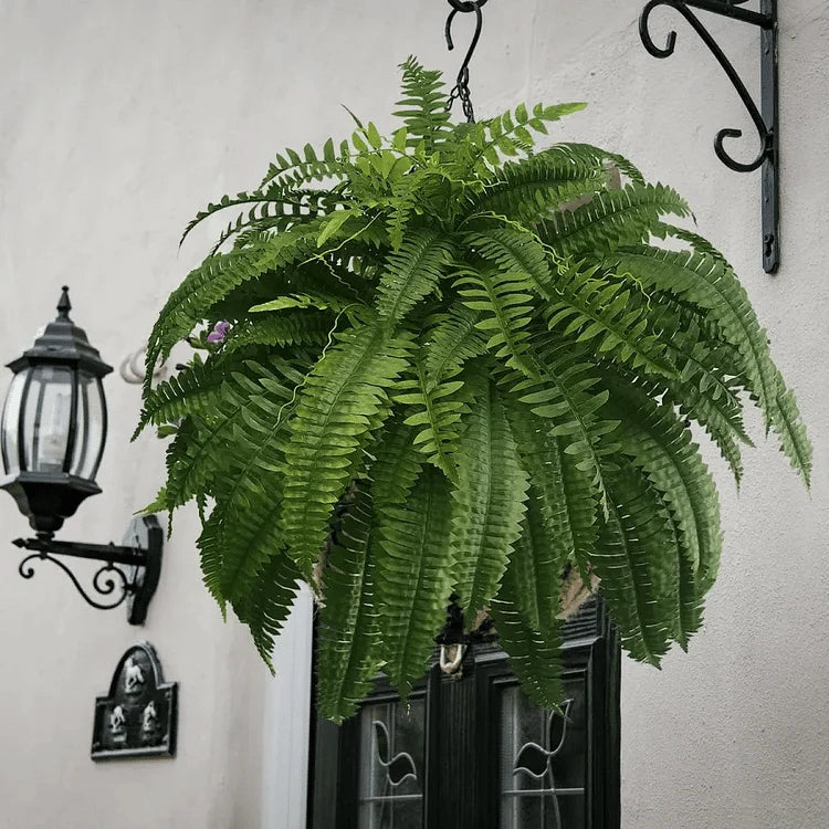 Artificial Boston Ferns Realistic UV-Resistant Set Of 18