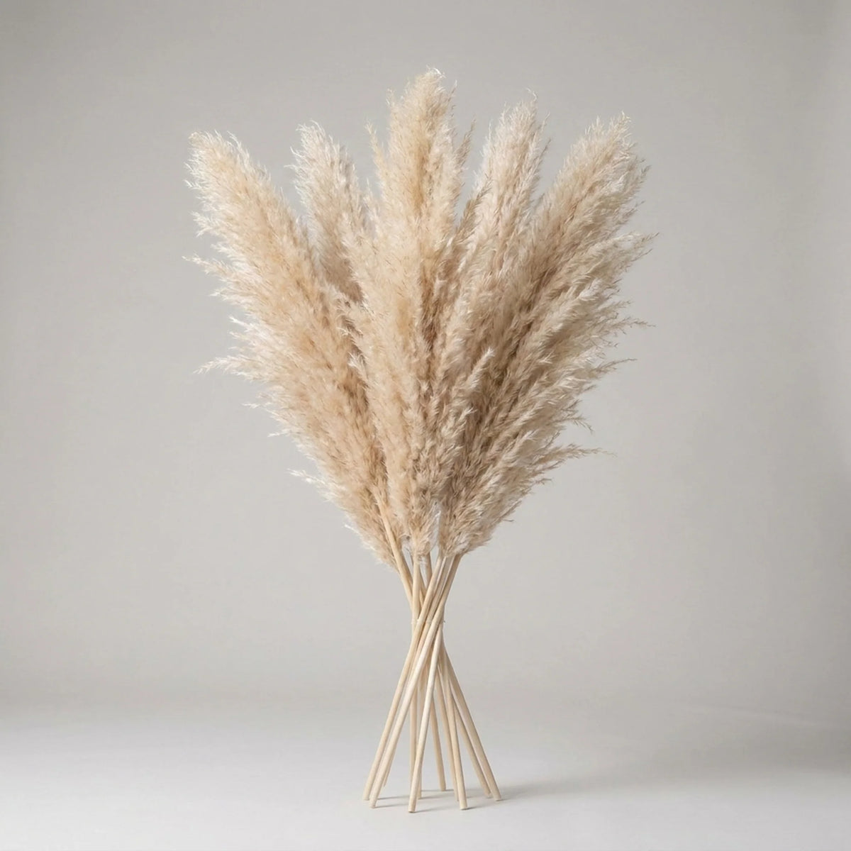 Artificial Pampas Grass Stems Feathery 25.6-Inch Decor
