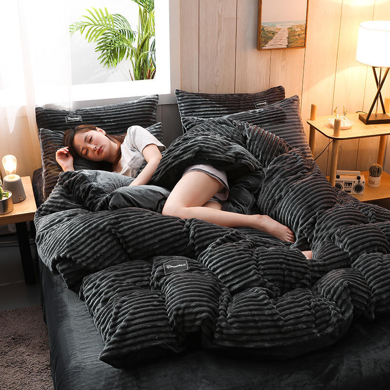 Bedding Set Double-Sided Plush 4-Piece Year-Round Comfort