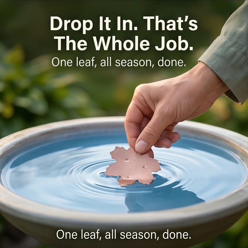Bird Bath Purifier Pure Copper Algae Control