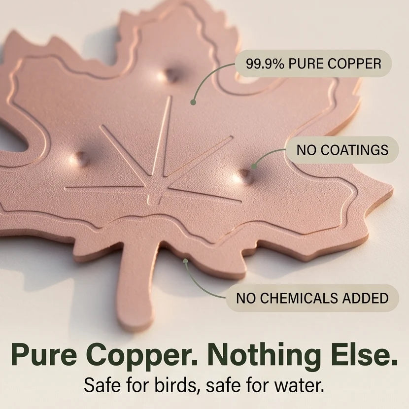 Bird Bath Purifier Pure Copper Algae Control