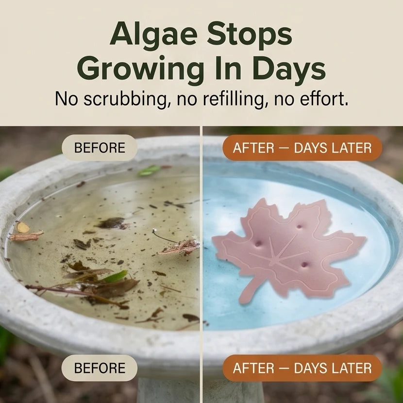 Bird Bath Purifier Pure Copper Algae Control