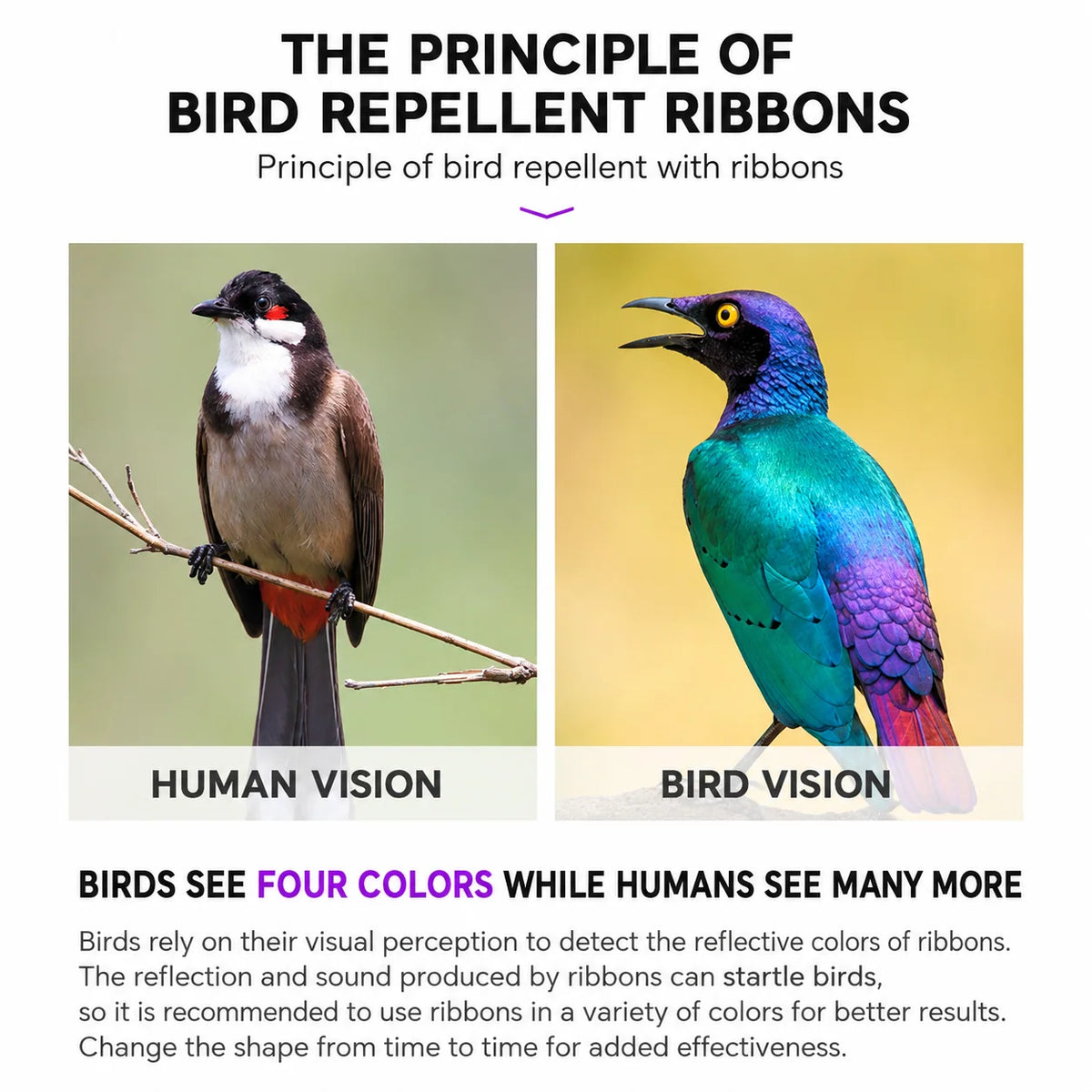 Bird Deterrent Tape Holographic Reflective 2 Rolls