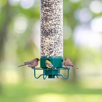 Bird Feeder Squirrel-Deterrent Spinning Perch Four Feeding Openings