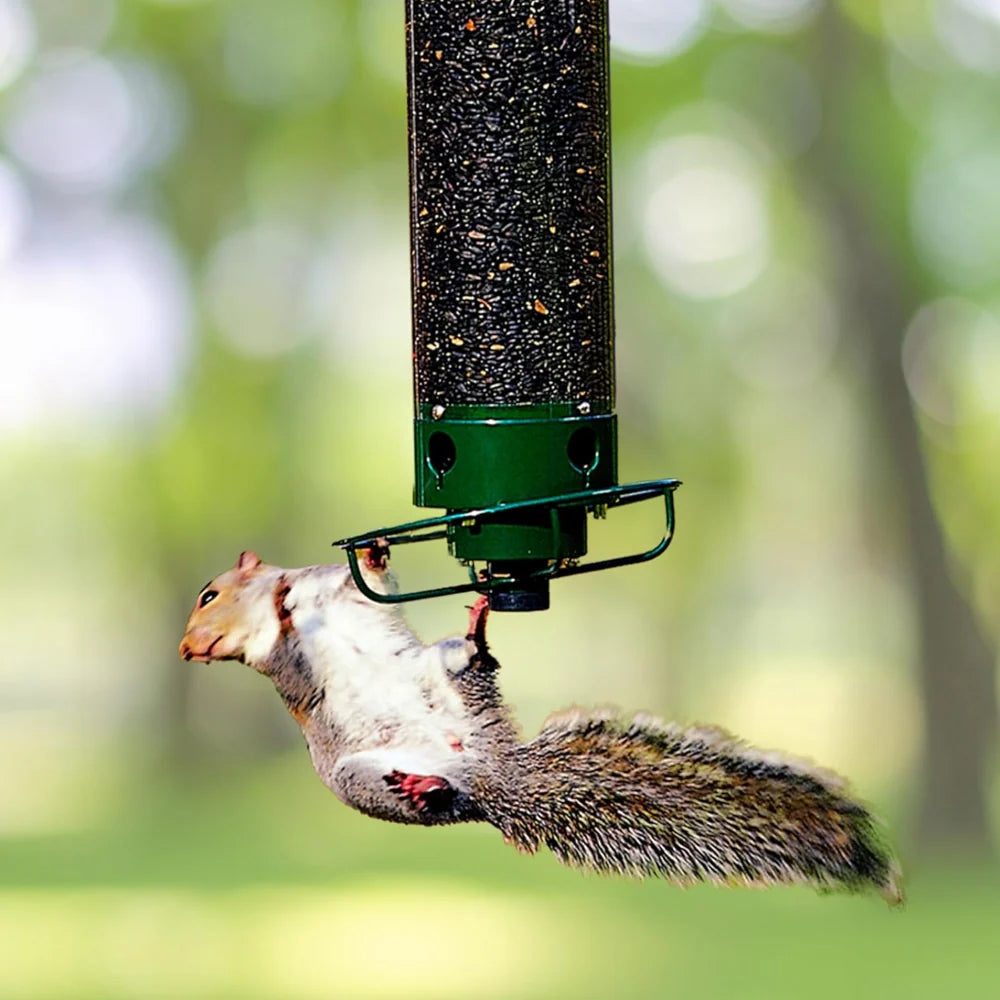 Bird Feeder Weight-Activated Chew-Resistant Metal Tube