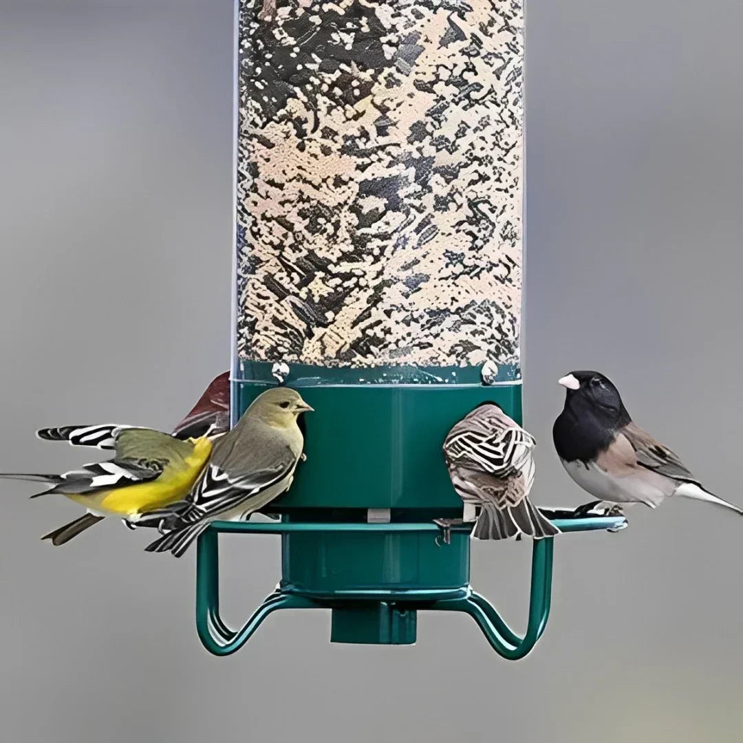 Bird Feeder Weight-Activated Spinning Perch 5-Pound Capacity