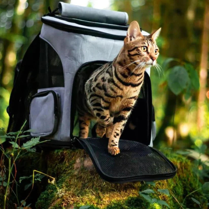 Cat Backpack Carrier Clear Viewing Dome Breathable Padded Straps