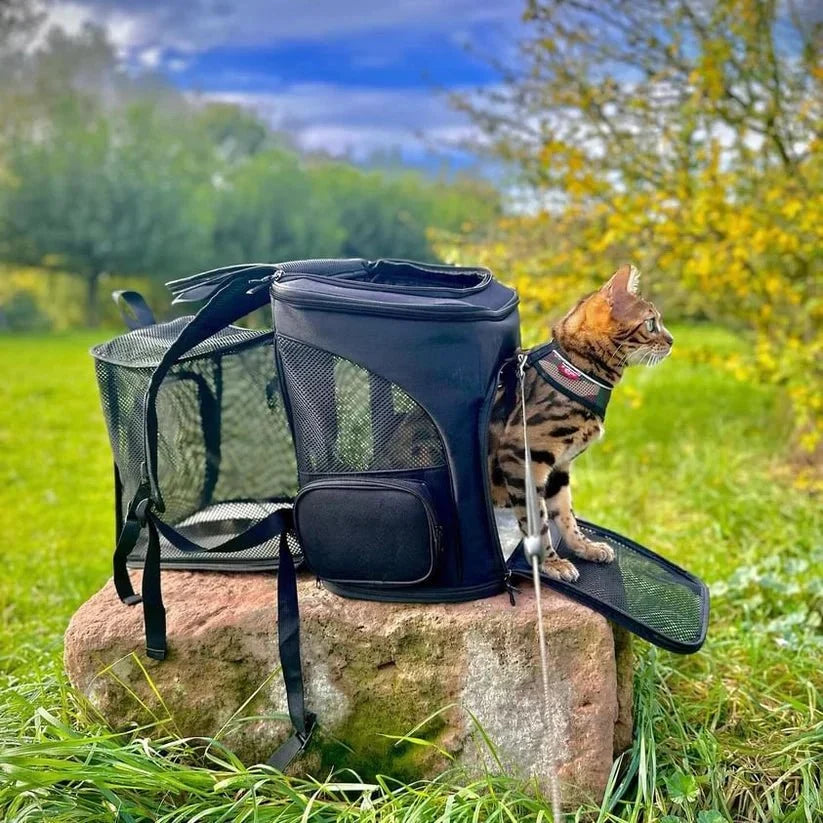 Cat Backpack Carrier Clear Viewing Dome Breathable Padded Straps