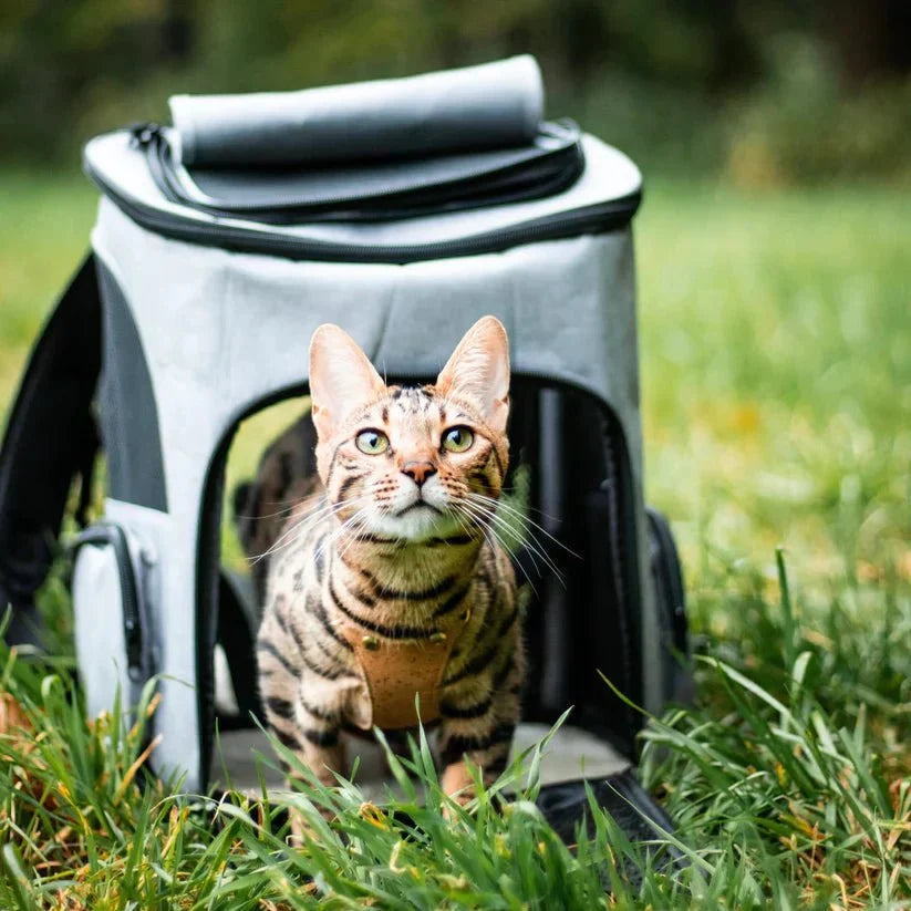 Cat Backpack Carrier Clear Viewing Dome Breathable Padded Straps