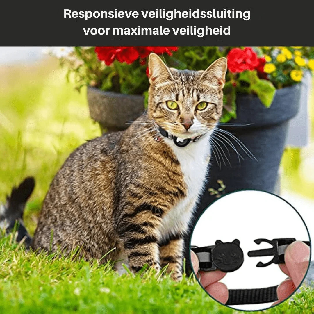 Cat Collar Reflective Adjustable Nylon With GPS Tracker Holder