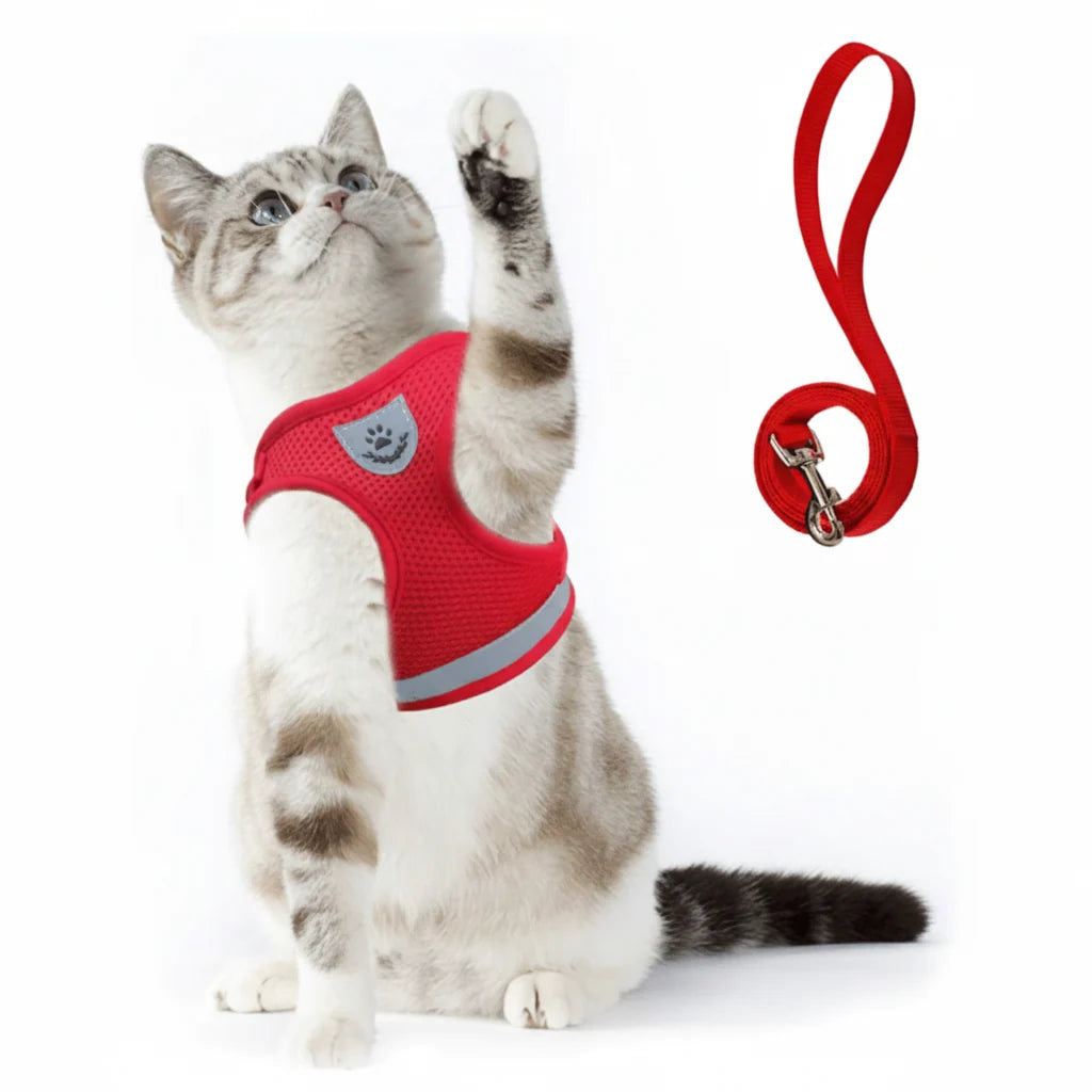 Cat Harness Adjustable Reflective With Leash Included