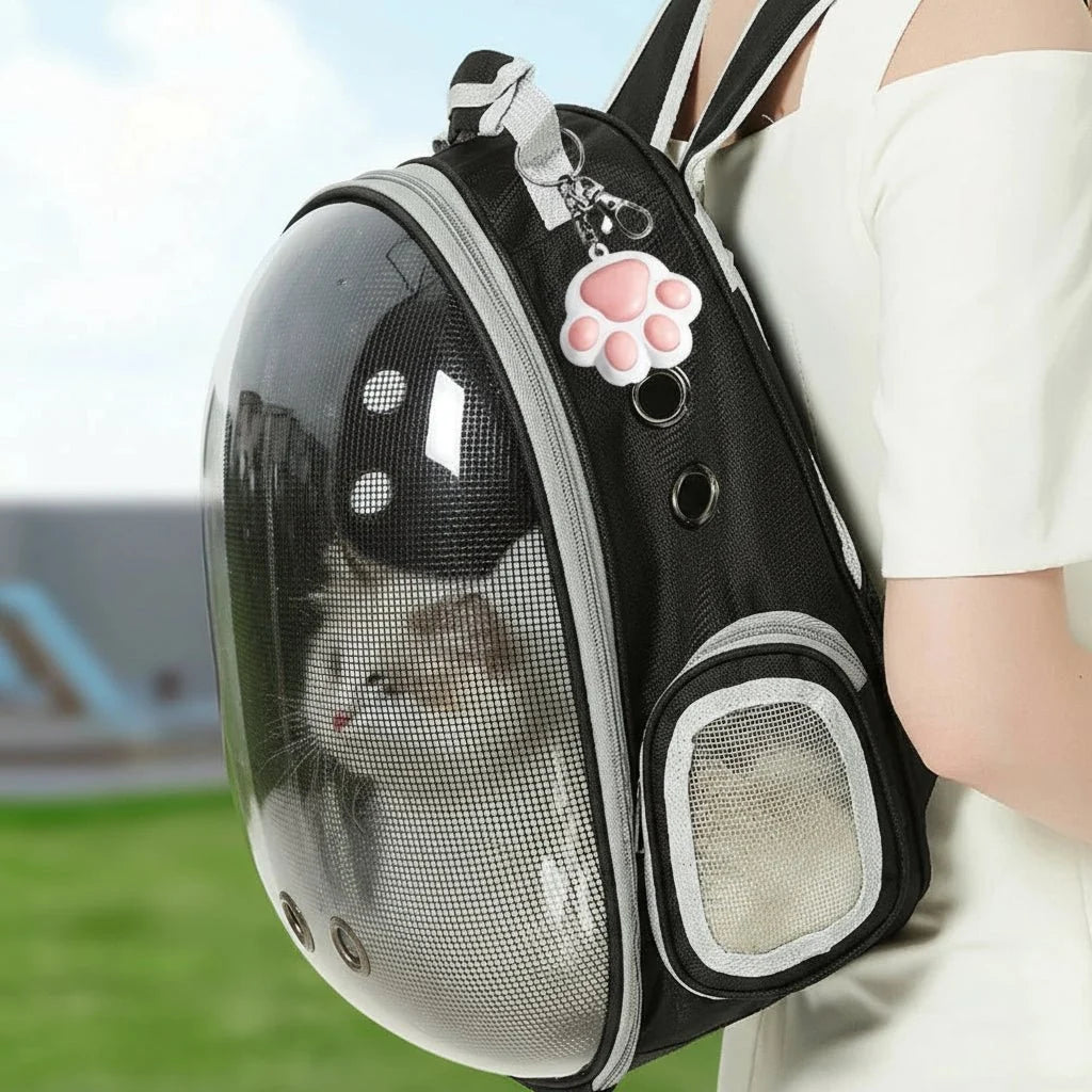 Cat Laser Toy Five Adjustable Patterns Automatic Timer