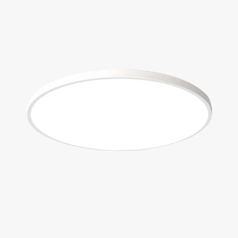 Ceiling Light Flush Mount IP54 Splash-Resistant Adjustable Color LED
