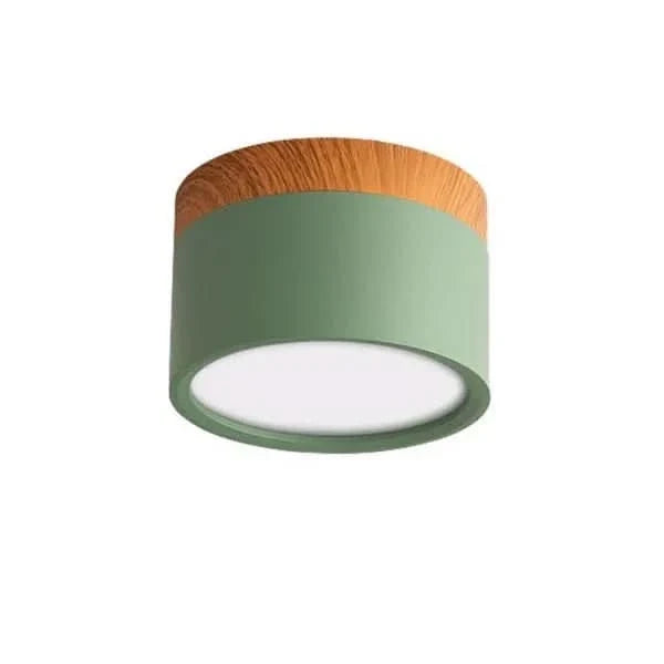 Ceiling Light LED Dimmable Three Color Temperatures