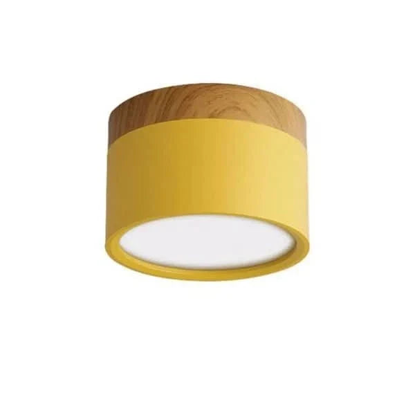 Ceiling Light LED Dimmable Three Color Temperatures