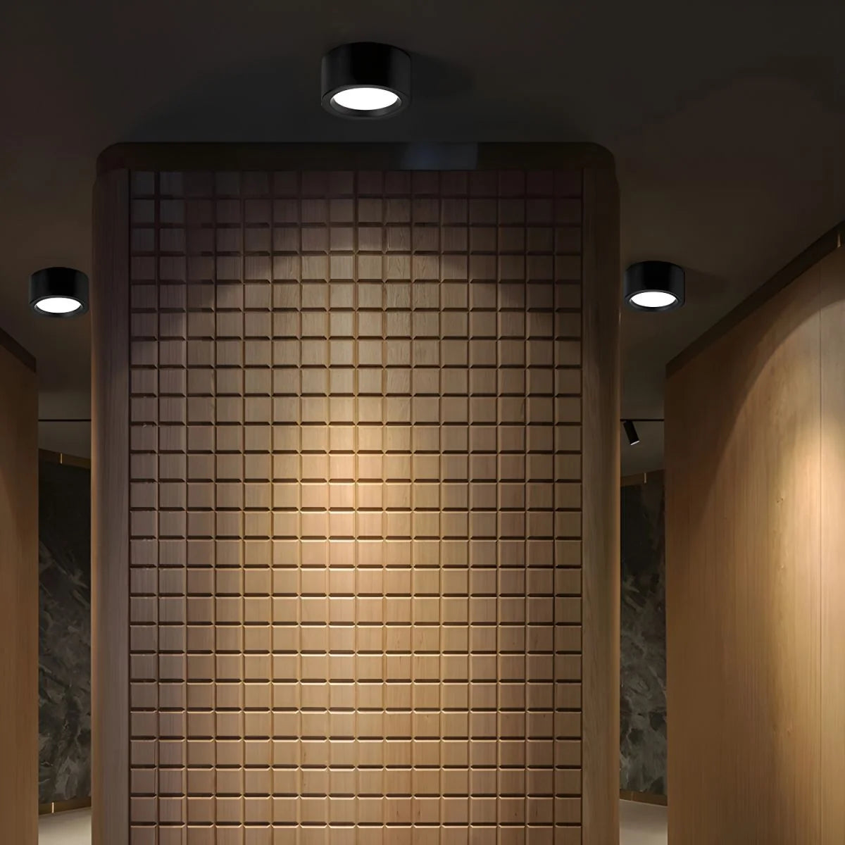 Ceiling Light Low-Profile Surface-Mounted Adjustable Color Temperature