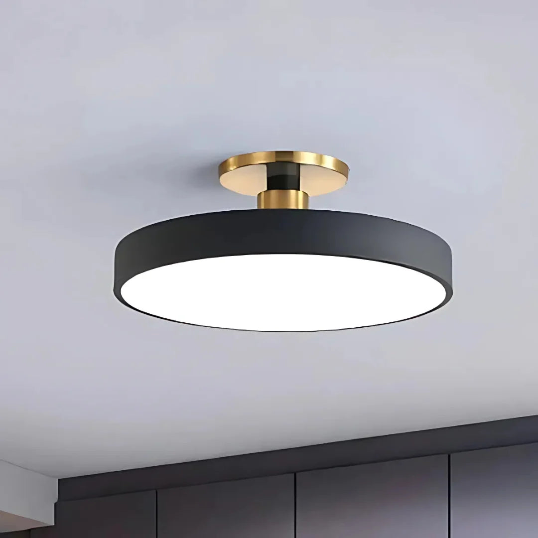 Ceiling Light Slim Flush-Mount & Integrated LED