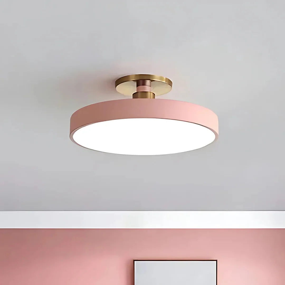 Ceiling Light Slim Flush-Mount & Integrated LED