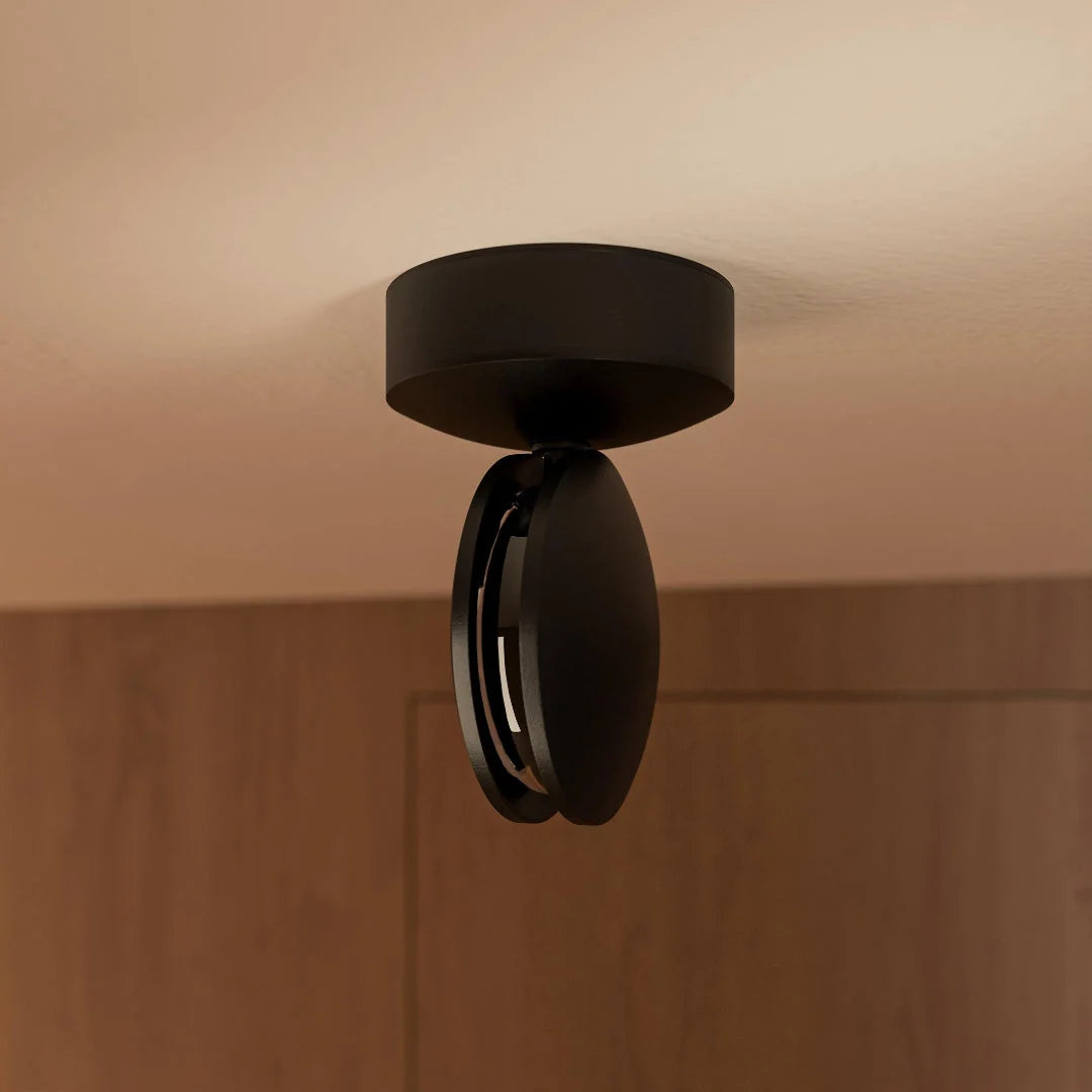Ceiling Spotlight Aimable Head Narrow Beam