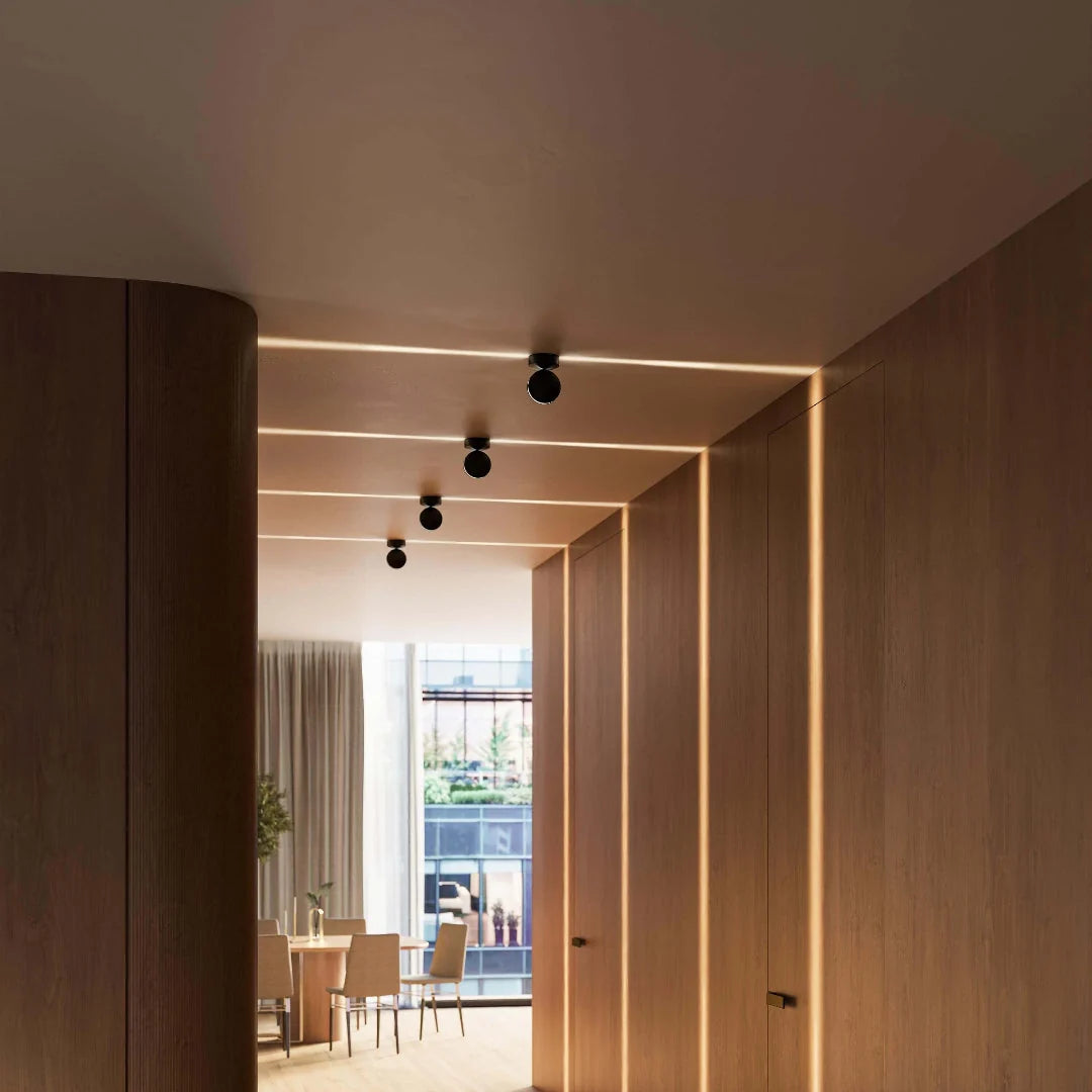 Ceiling Spotlight Aimable Head Narrow Beam