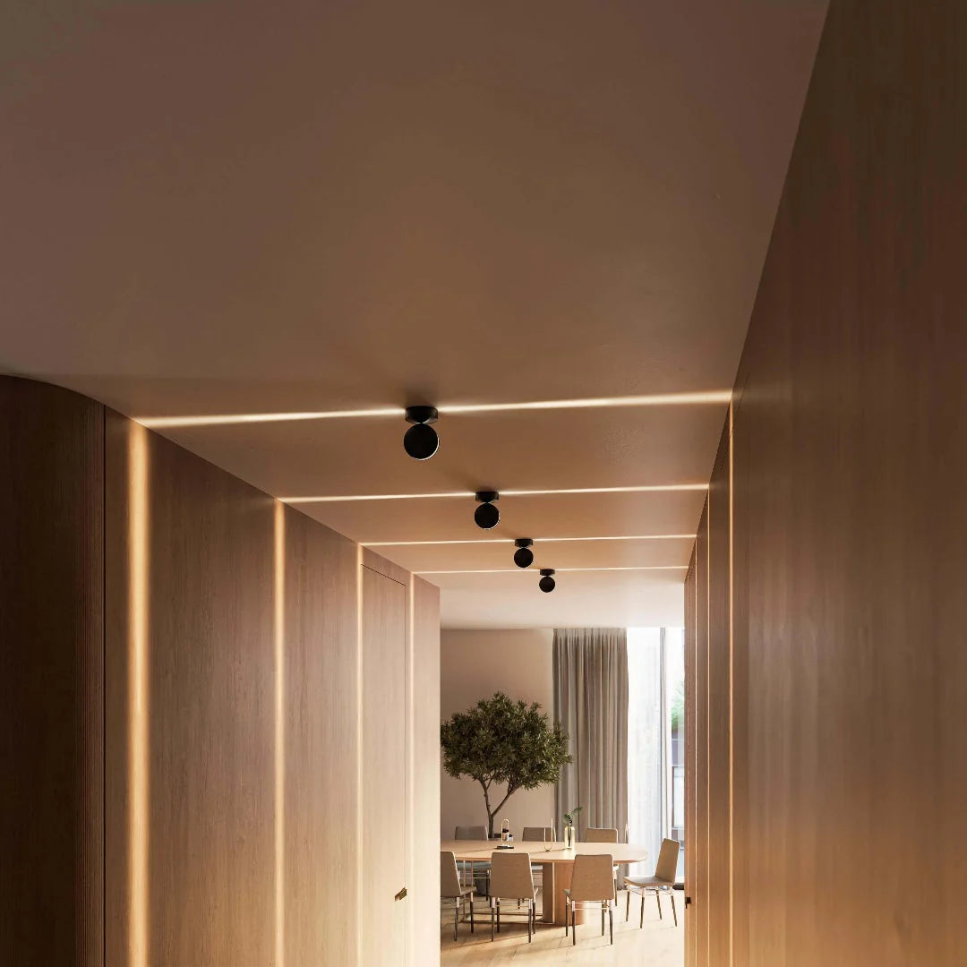 Ceiling Spotlight Aimable Head Narrow Beam