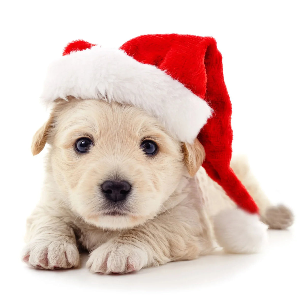Christmas Hat Classic Red Soft Plush Faux Fur Pompom