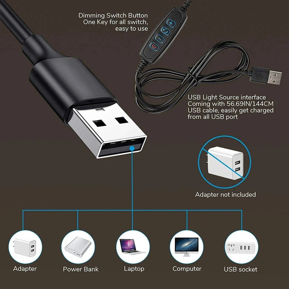 Clamp-On Desk Lamp 360° Gooseneck USB-Powered