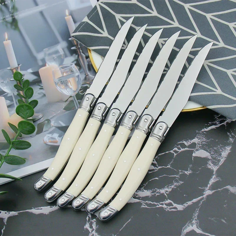 Cutlery Set 304 Stainless Steel Ivory Resin Handles