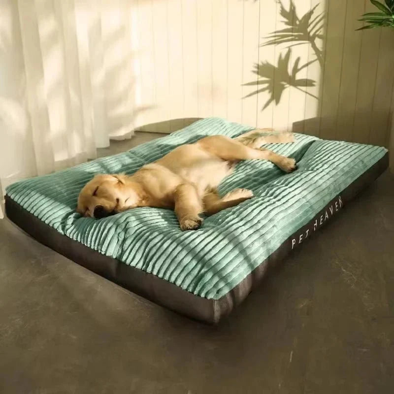 Dog Bed Orthopedic Foam Removable Machine-Washable Cover